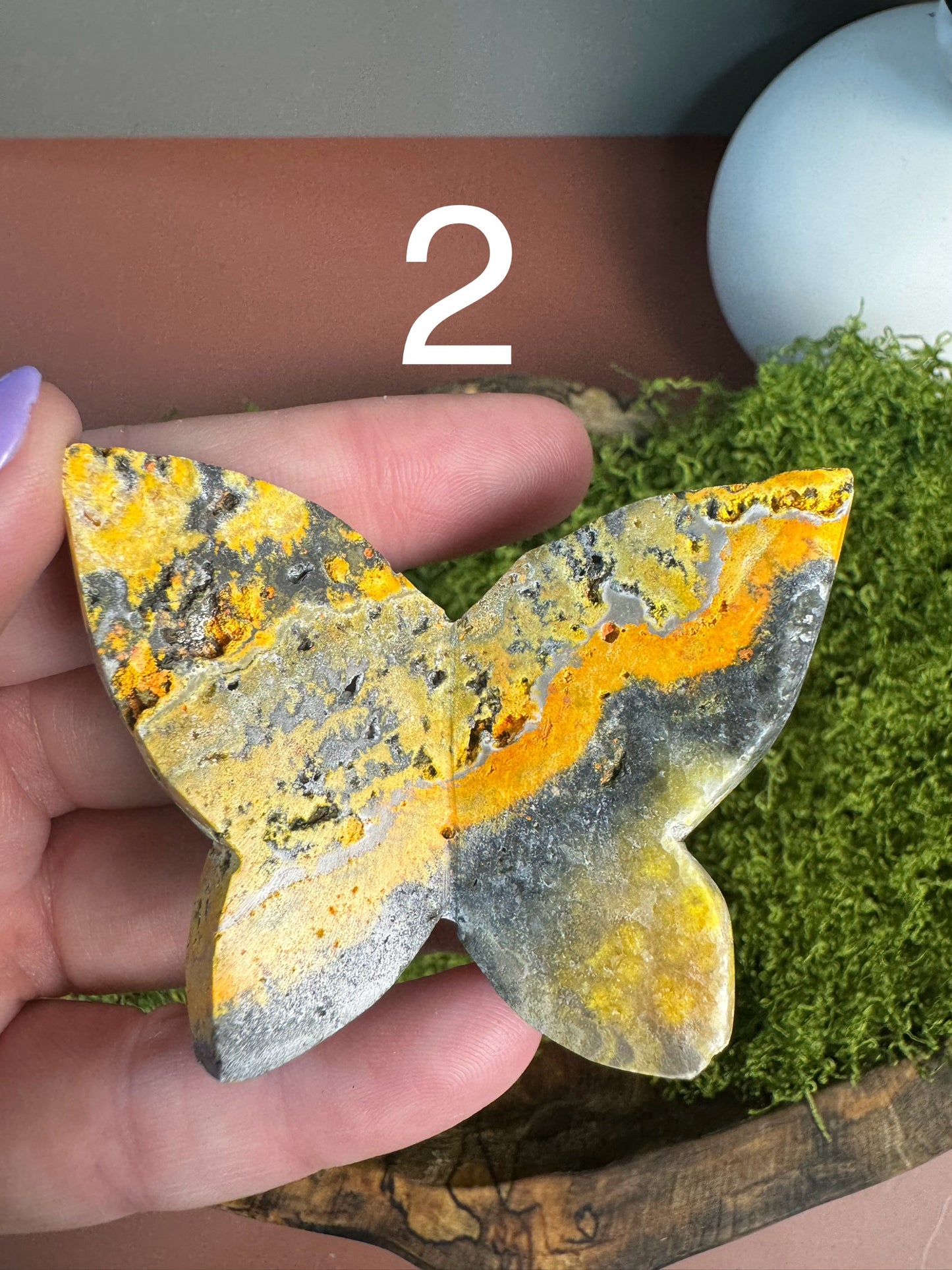 Bumblebee Jasper 3D Butterfly (You Choose)