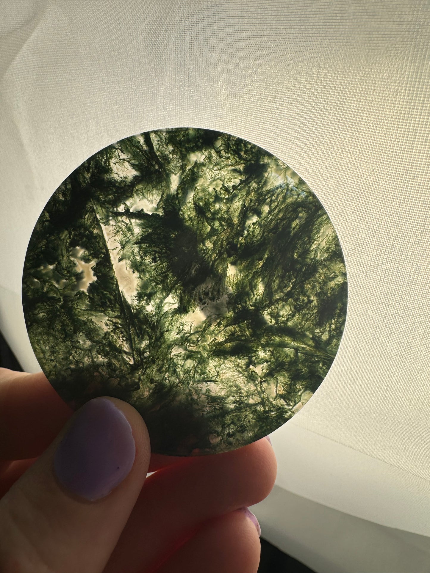 Moss Agate Disks (Intuitively Chosen)