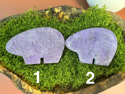 Alantisite Bears (You Choose)