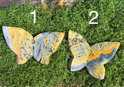 Bumblebee Jasper 3D Butterfly (You Choose)