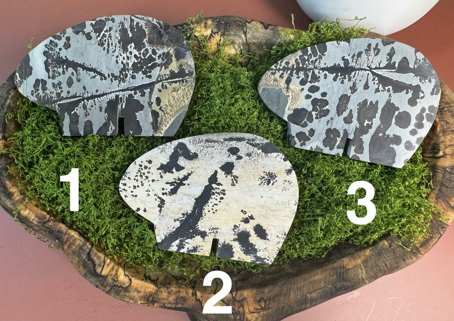 Picture Jasper Bears (You Choose)