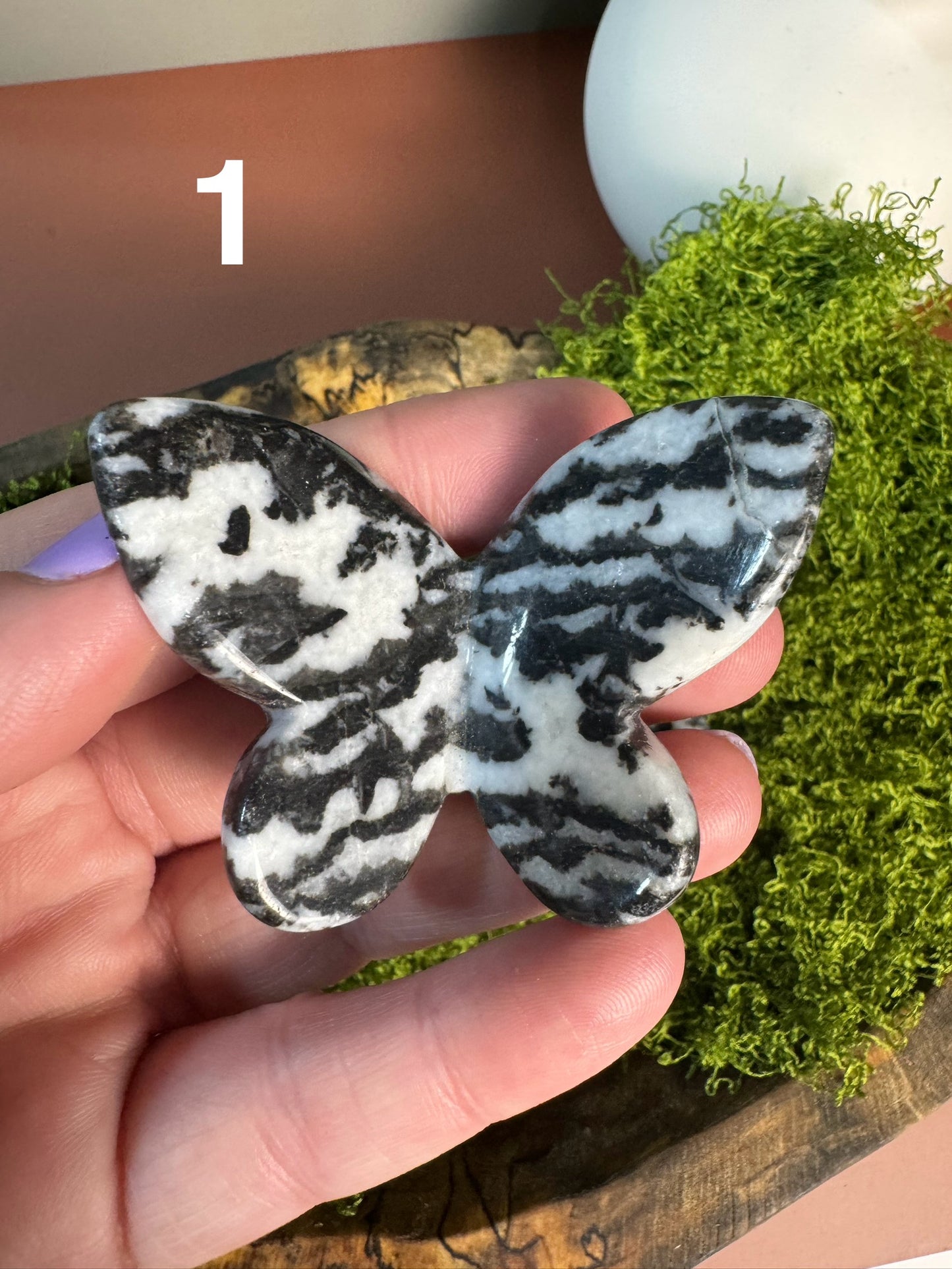 Zebra Jasper 3D Butterfly (You Choose)