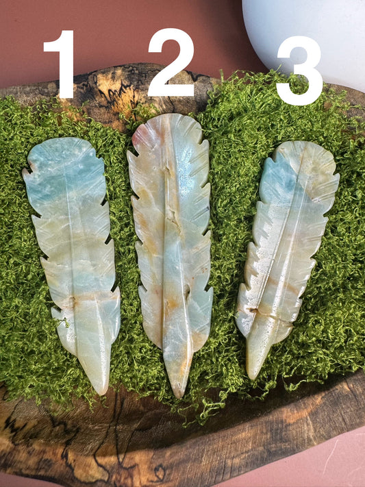 Caribbean Calcite Feather (You Choose)