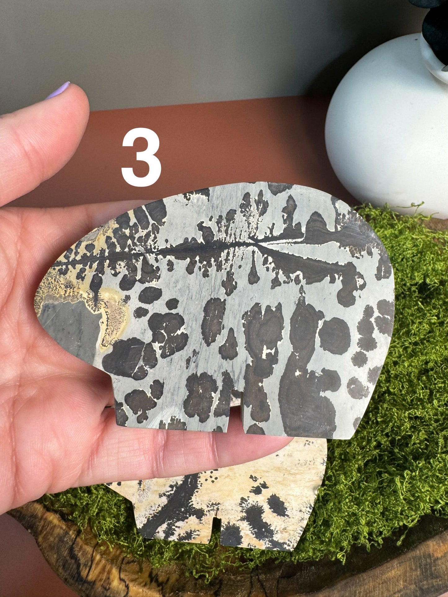 Picture Jasper Bears (You Choose)