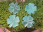 Green Aventurine Four Leaf Clover (Intuitively Chosen)