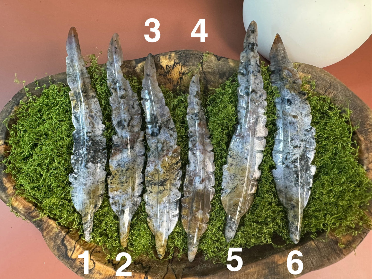 Orbicular Jasper Feather (You Choose)