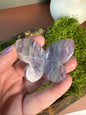 Rainbow Fluorite 3D Butterfly - Small (You Choose)