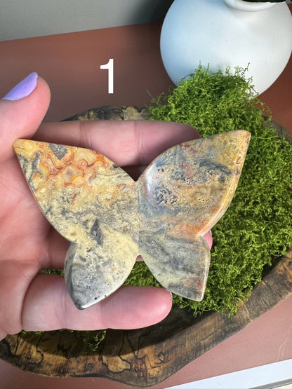 Crazy Lace Agate 3D Butterfly (You Choose)
