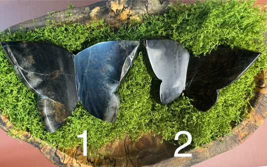 Blue & Yellow Tiger's Eye 3D Butterfly (You Choose)