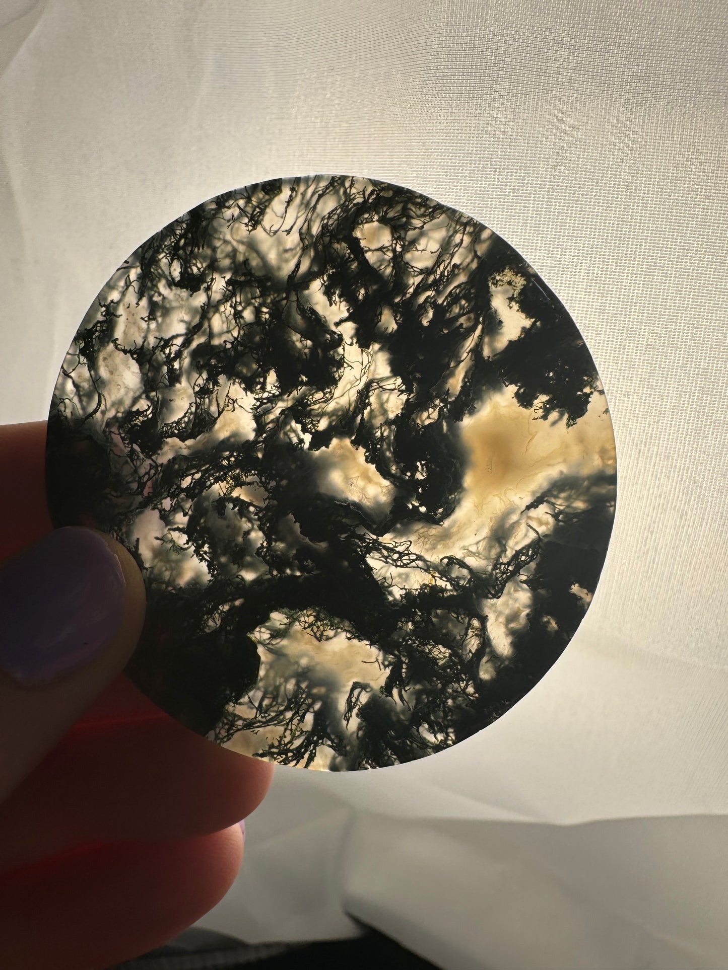 Moss Agate Disks (Intuitively Chosen)