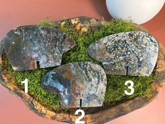 Orbicular Jasper Bears (You Choose)