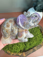 Large Elephant Carving - Amethyst, Quartz, and Mexican Crazy Lace Agate Mix
