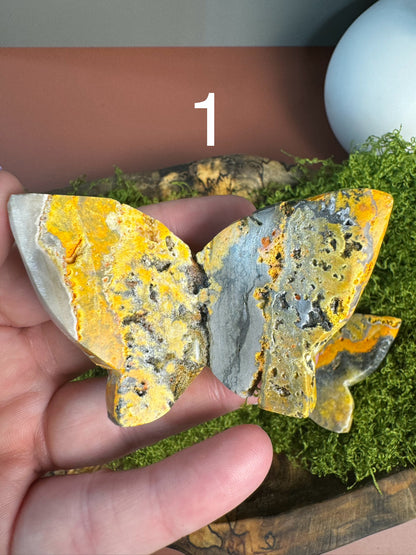 Bumblebee Jasper 3D Butterfly (You Choose)