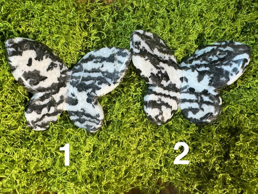 Zebra Jasper 3D Butterfly (You Choose)