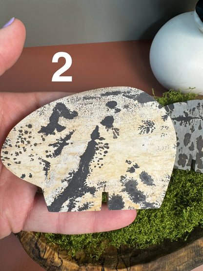 Picture Jasper Bears (You Choose)