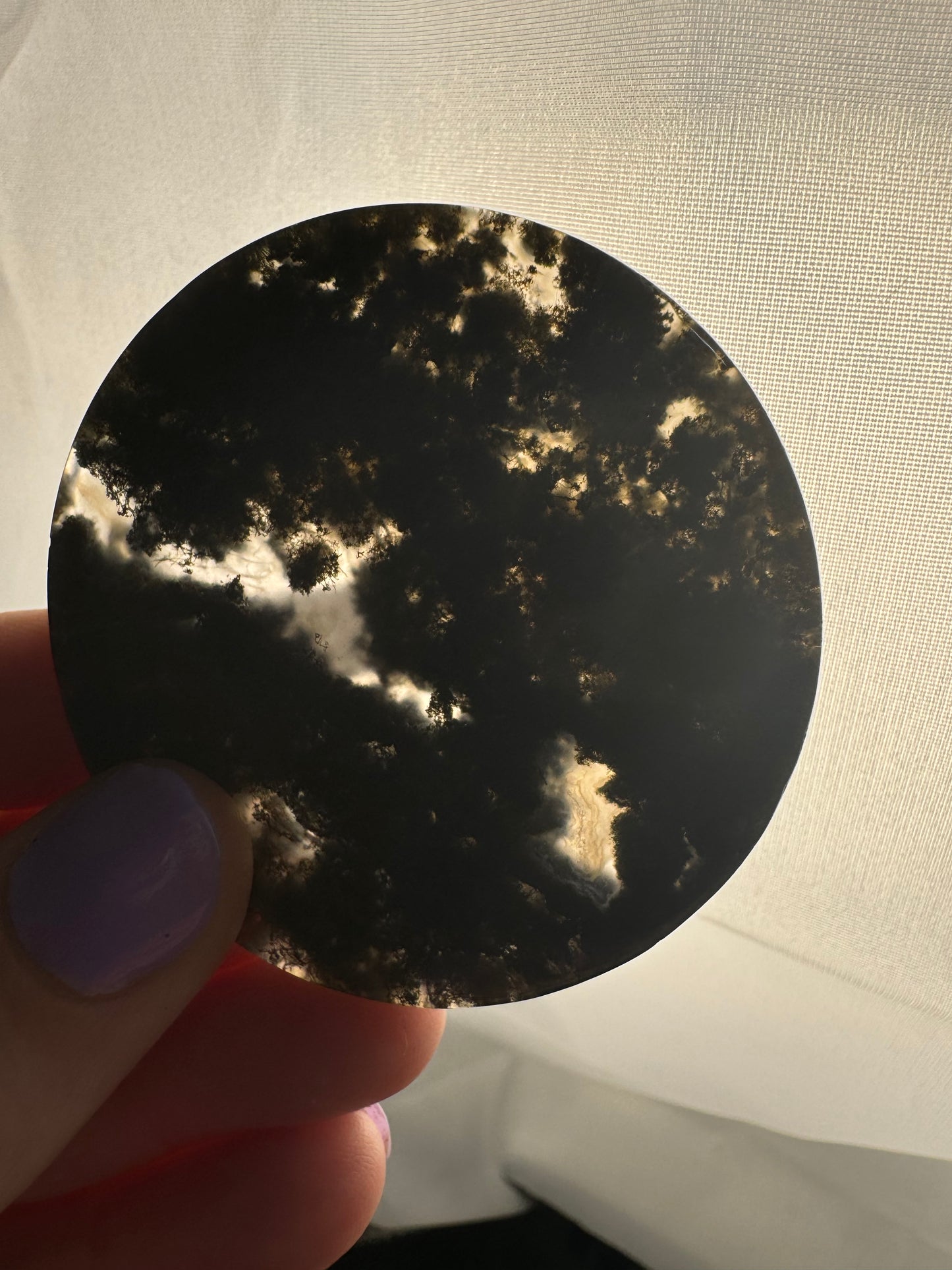 Moss Agate Disks (Intuitively Chosen)