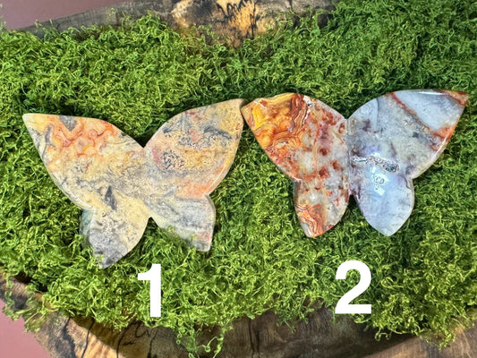 Crazy Lace Agate 3D Butterfly (You Choose)