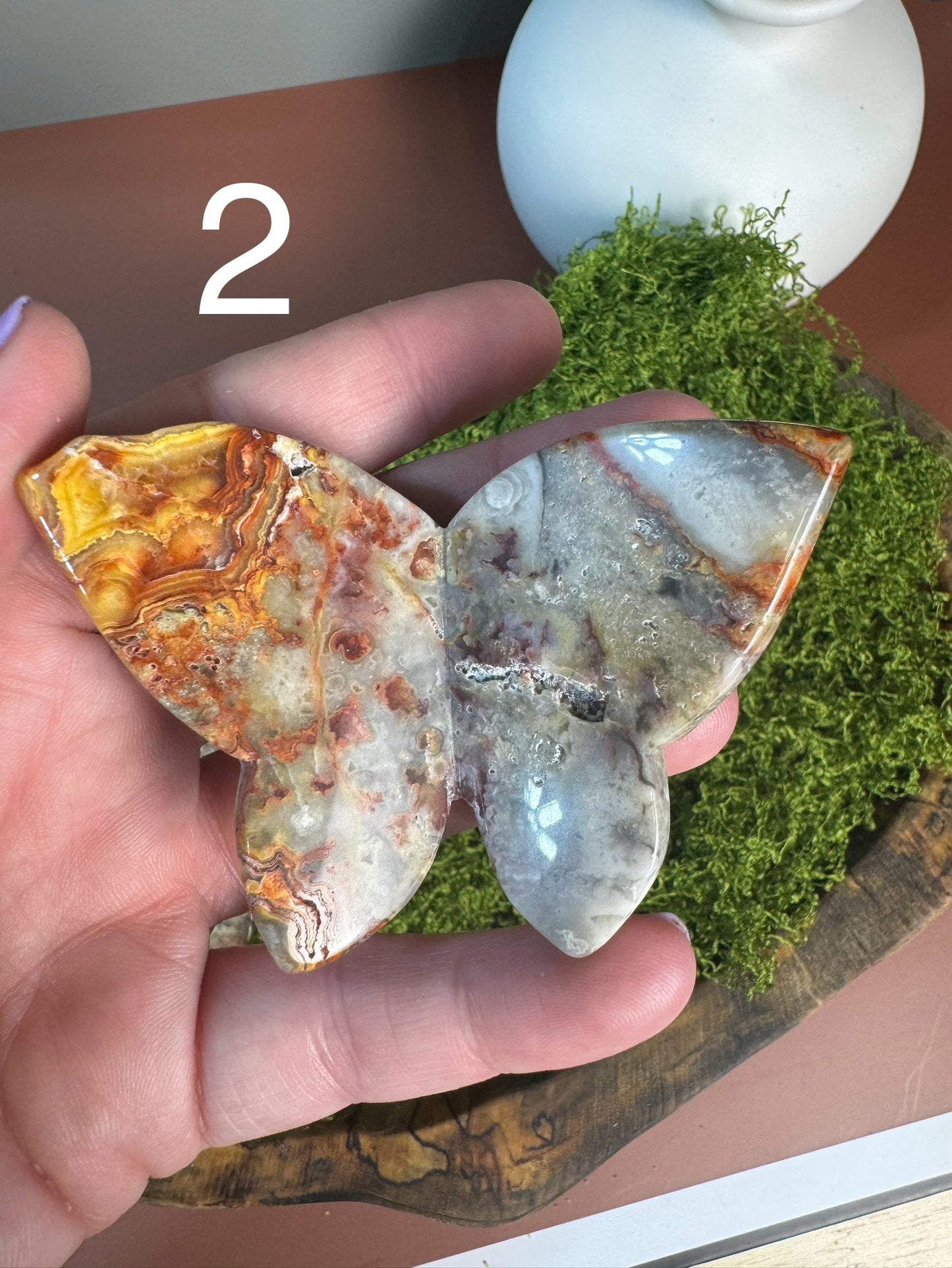 Crazy Lace Agate 3D Butterfly (You Choose)