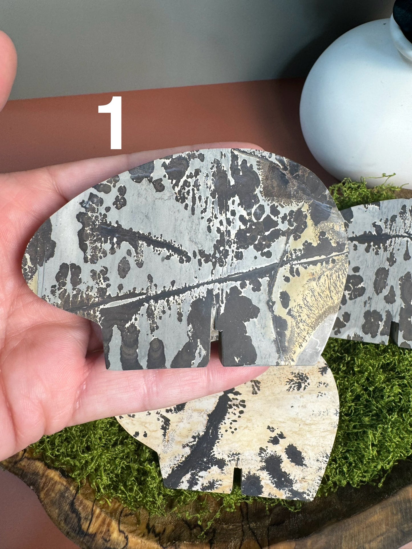 Picture Jasper Bears (You Choose)