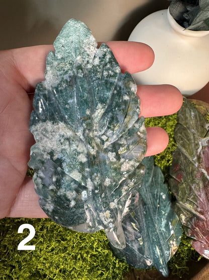 Sea Jasper Leaves (You Choose)