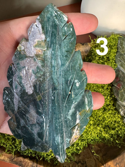 Sea Jasper Leaves (You Choose)